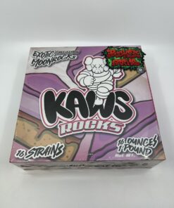 KAWS ROCKS
